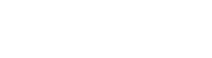 FORTUNE Tires